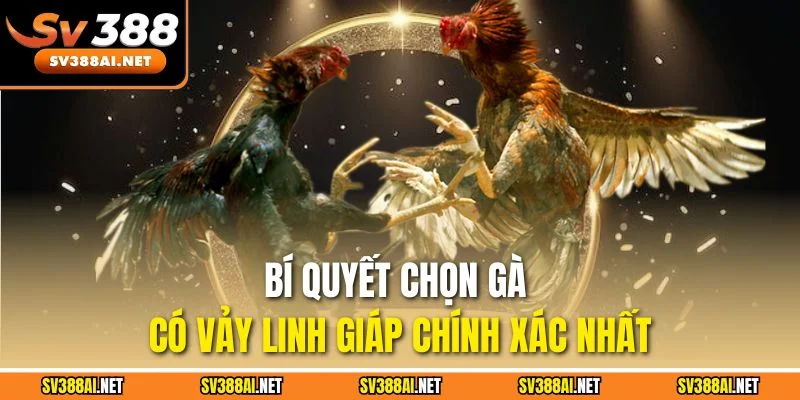 Bí quyết chọn gà có vảy linh giáp chính xác nhất Bí quyết chọn gà có vảy linh giáp chính xác nhất