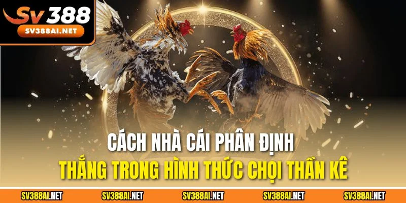 Cách nhà cái phân định thắng trong hình thức chọi thần kê