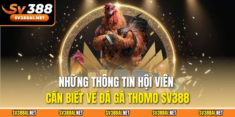 Những thông tin hội viên cần biết về đá gà Thomo SV388