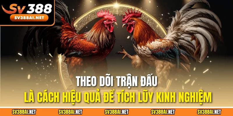 Theo dõi trận đấu là cách hiệu quả để tích lũy kinh nghiệm Theo dõi trận đấu là cách hiệu quả để tích lũy kinh nghiệm