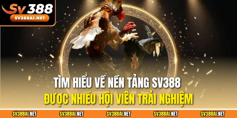 Tìm hiểu về nền tảng SV388 được nhiều hội viên trải nghiệm
