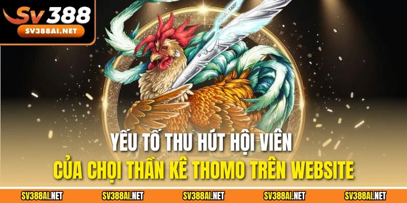 Yếu tố thu hút hội viên của chọi thần kê Thomo trên website